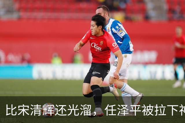 比宋清辉还光溜，任泽平被拉下神坛，“经济学家”帽子没了
